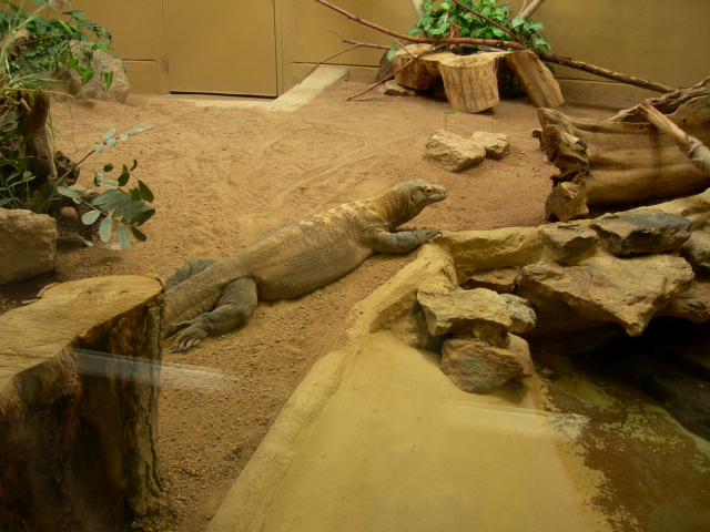 DSCN2592.JPG