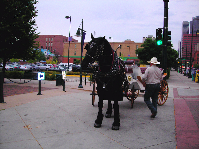 Carriage ride after dinner