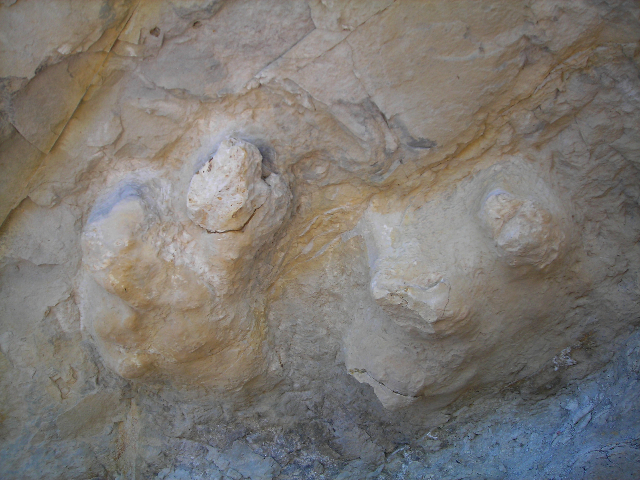 Bigfoot was here?